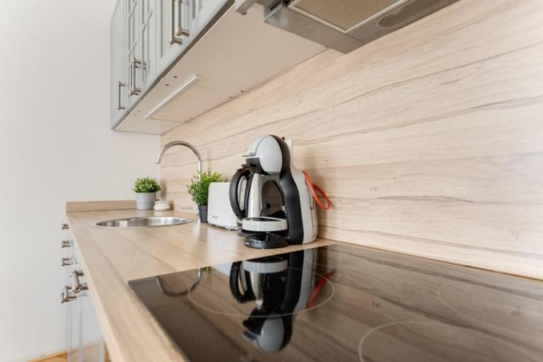 New & Cozy 3bds In Historical Center - S8 * Praha